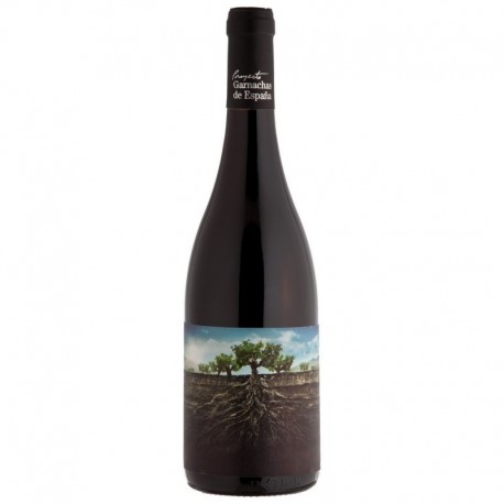 Garnacha Salvaje Moncayo - wino czerwone wytrawne V6086-00/2015