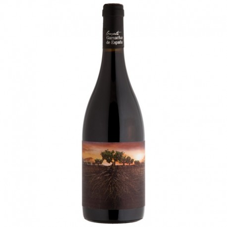 Garnacha Olvidada Aragon - wino czerwone wytrawne V6087-00/2012